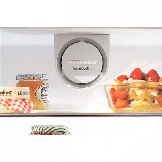 Холодильник LIEBHERR cp 4613-22 купить с доставкой по Москве и Московской области в интернет-магазине АваТехно