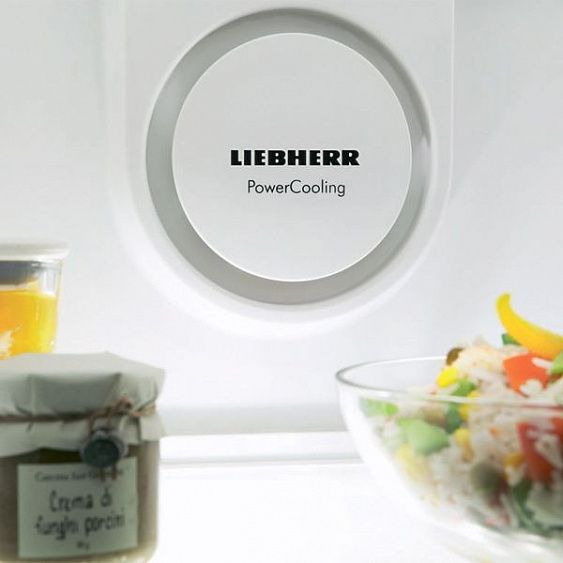 Холодильник LIEBHERR KBbs 4260 купить с доставкой по Москве и Московской области в интернет-магазине АваТехно