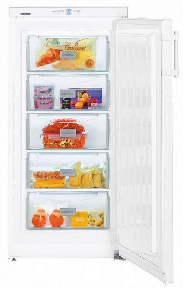 Морозильная камера LIEBHERR GP 2033 купить с доставкой по Москве и Московской области в интернет-магазине АваТехно