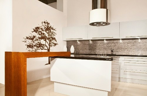 Вытяжка Faber CASSIOPEA ISOLA EG10 X/V A50 (арт.110.0157.062) купить с доставкой по Москве и Московской области в интернет-магазине АваТехно