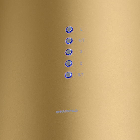 Вытяжка MAUNFELD LEE WALL (C) 39 GOLD купить с доставкой по Москве и Московской области в интернет-магазине АваТехно