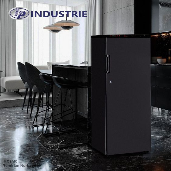 Шкаф для хранения мяса IP INDUSTRIE SAL 300 CF купить с доставкой по Москве и Московской области в интернет-магазине АваТехно