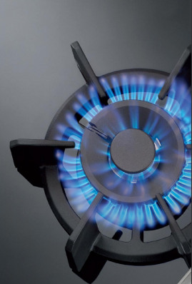 Поверхность NEFF n24k35n0 купить с доставкой по Москве и Московской области в интернет-магазине АваТехно