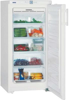 Морозильная камера LIEBHERR GNP 1956-23 001 купить с доставкой по Москве и Московской области в интернет-магазине АваТехно