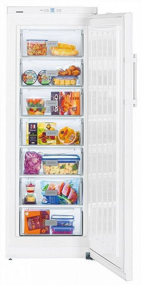 Морозильная камера LIEBHERR gp 2733 купить с доставкой по Москве и Московской области в интернет-магазине АваТехно