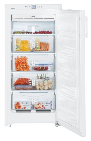 Морозильник LIEBHERR GNP 1956 купить с доставкой по Москве и Московской области в интернет-магазине АваТехно