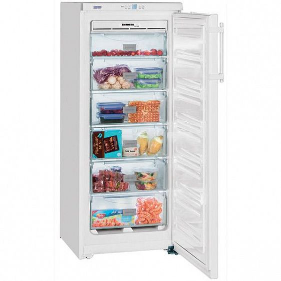 Морозильник LIEBHERR GN 2323 купить с доставкой по Москве и Московской области в интернет-магазине АваТехно