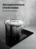 Поверхность KUPPERSBERG ICS 604 купить с доставкой по Москве и Московской области в интернет-магазине АваТехно