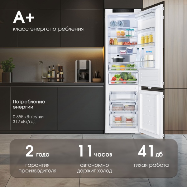 Встраиваемый холодильник ZIGMUND & SHTAIN BR 19 X купить с доставкой по Москве и Московской области в интернет-магазине АваТехно