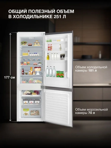 Встраиваемый холодильник Hyundai HBR 1771 купить с доставкой по Москве и Московской области в интернет-магазине АваТехно