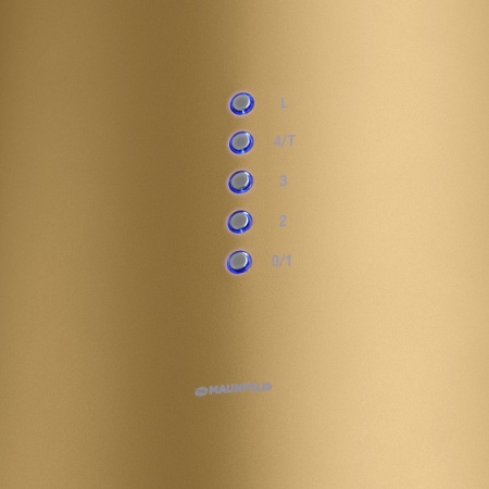 Вытяжка MAUNFELD LEE WALL (C) 39 GOLD купить с доставкой по Москве и Московской области в интернет-магазине АваТехно