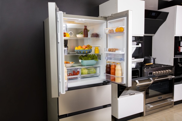 Холодильник Kaiser KS 80420 R купить с доставкой по Москве и Московской области в интернет-магазине АваТехно