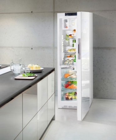 Холодильник Liebherr KBPgw 4354 купить с доставкой по Москве и Московской области в интернет-магазине АваТехно