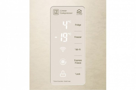 Холодильник LG GC-B247SEDC купить с доставкой по Москве и Московской области в интернет-магазине АваТехно