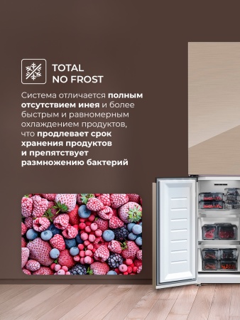 Холодильник LEX LCD450GLGID купить с доставкой по Москве и Московской области в интернет-магазине АваТехно